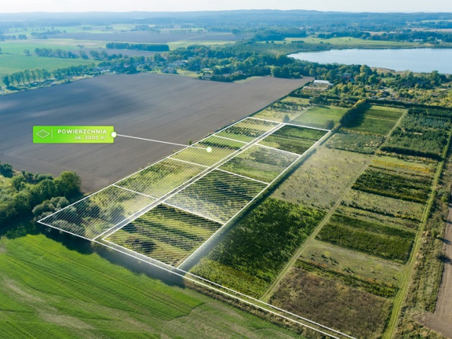 Działka Sprzedaż Chynowo